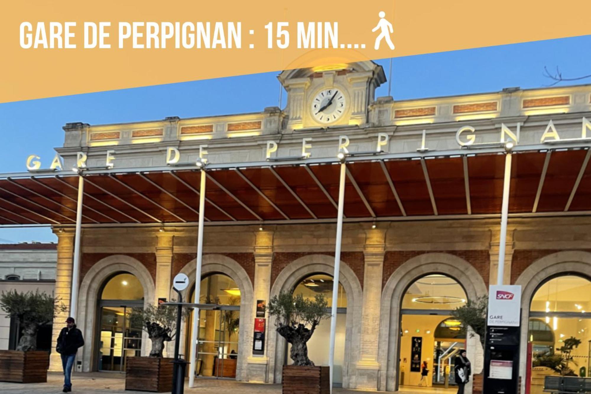 Les Suites Du Castillet Perpignan Bagian luar foto